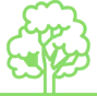 ikona drzewa liściastego